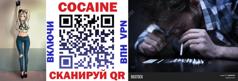 КОКАИН Fish Scale  Купить закладки  Новомичуринск 