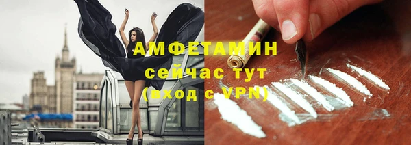 шишки Дмитровск