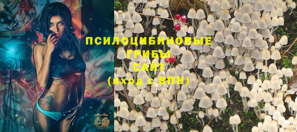 шишки Дмитровск