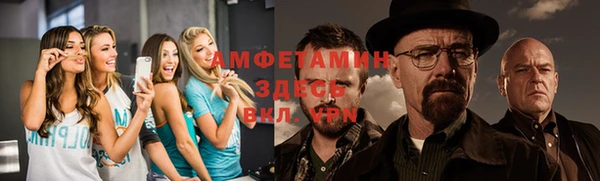 шишки Дмитровск