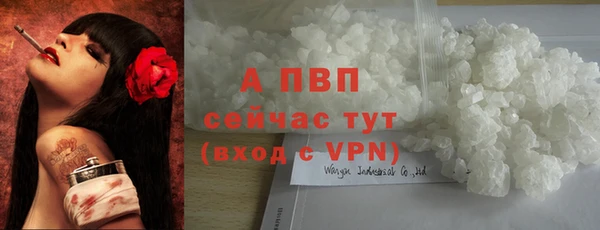 шишки Дмитровск