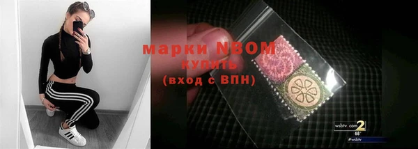 ешки Гусь-Хрустальный