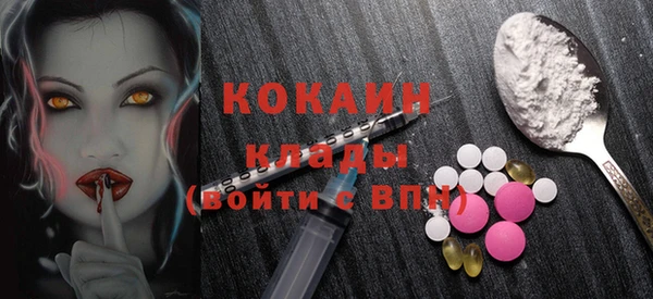 шишки Дмитровск