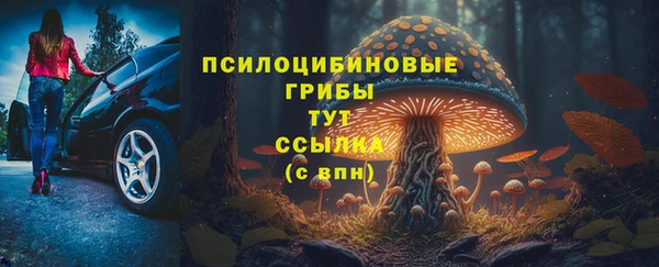 шишки Дмитровск