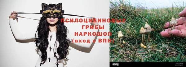 герыч Дмитриев