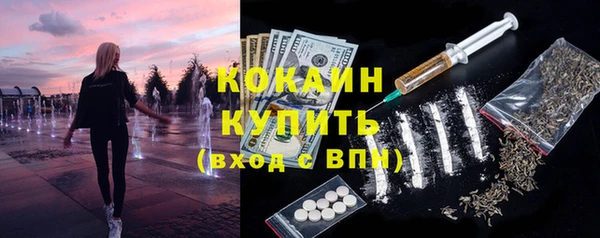 шишки Дмитровск