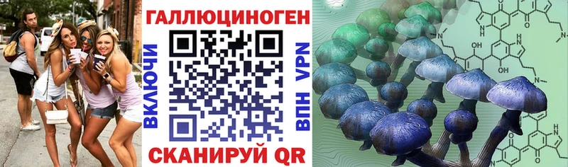 Псилоцибиновые грибы ЛСД  Купить закладки  Новомичуринск 