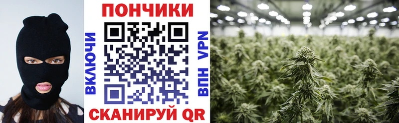 Купить закладки  Новомичуринск  Канабис план 